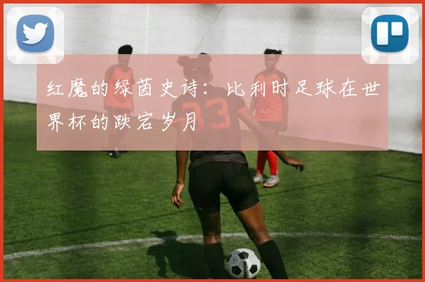 红魔的绿茵史诗:比利时足球在世界杯的跌宕岁月