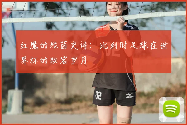 红魔的绿茵史诗:比利时足球在世界杯的跌宕岁月