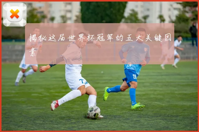 揭秘这届世界杯冠军的五大关键因素