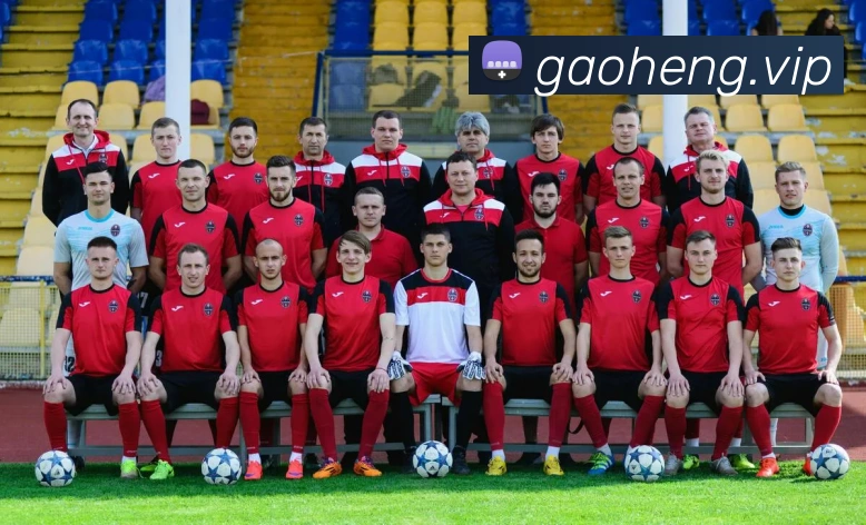 App Interface Preview