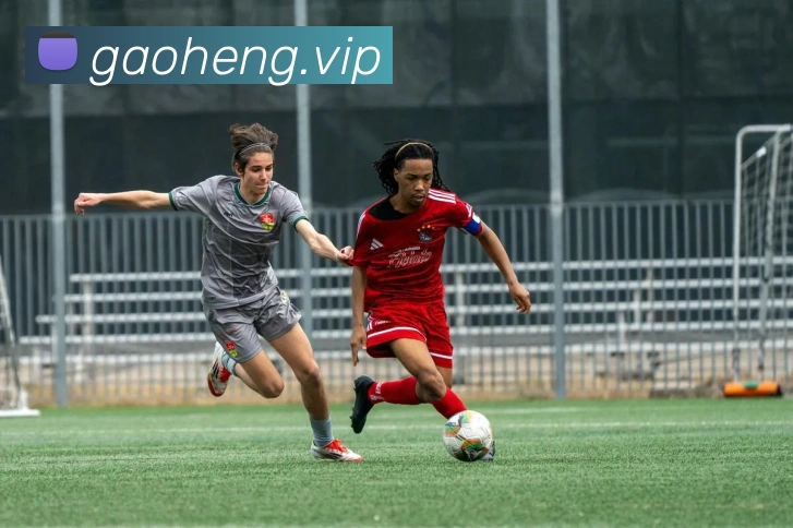 mksports网站APP 高清赛事图
